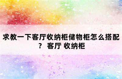 求教一下客厅收纳柜储物柜怎么搭配？ 客厅 收纳柜